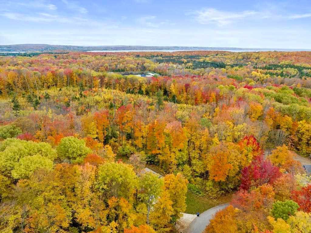 4. Land for Sale at 246 Fawn Run Harbor Springs, Michigan 49740 United States
