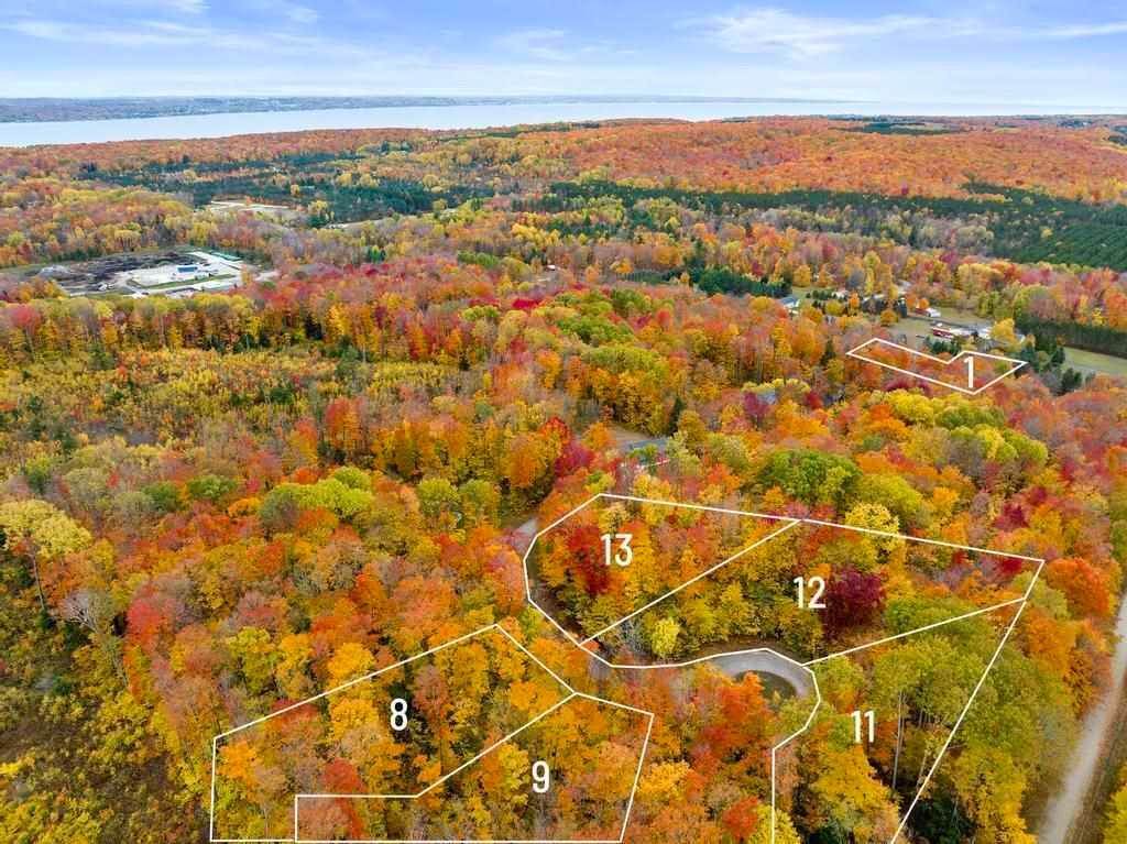 8. Land for Sale at 246 Fawn Run Harbor Springs, Michigan 49740 United States
