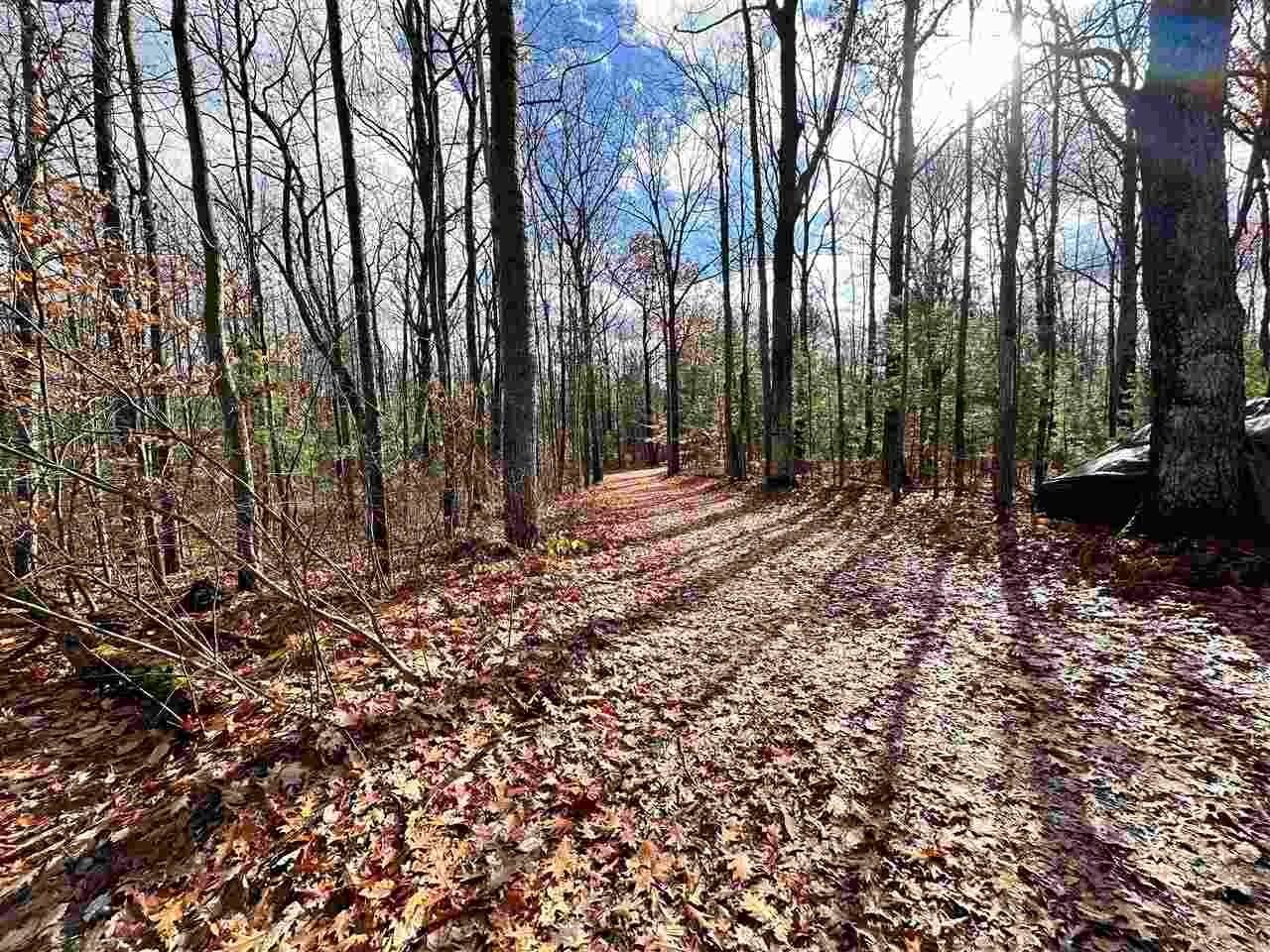 7. Land for Sale at 7636 Whitetail Road Gaylord, Michigan 49735 United States