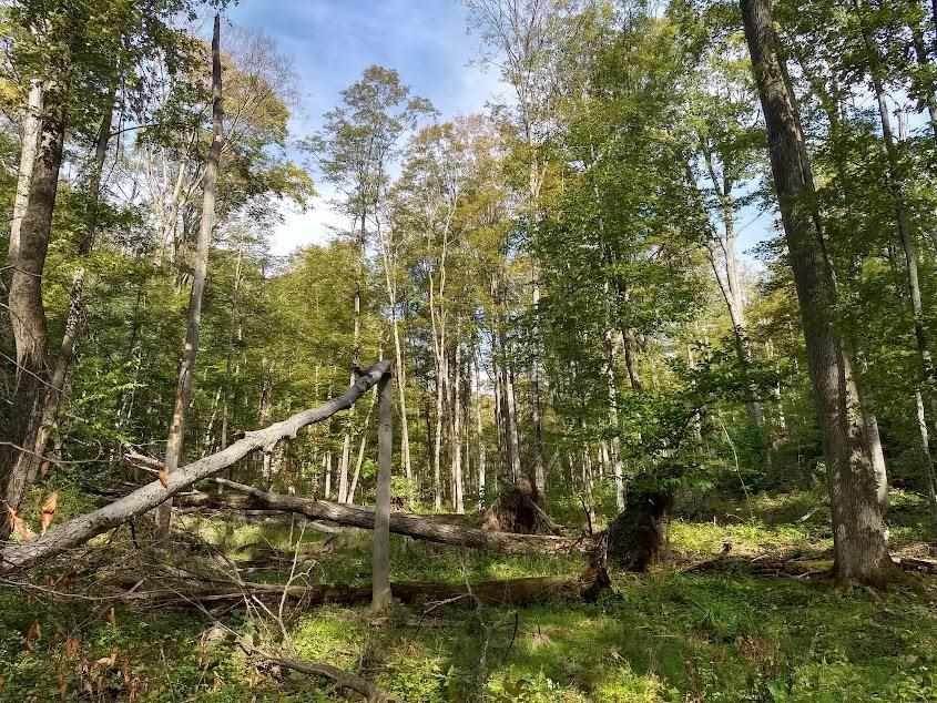 3. Land for Sale at 4574 Stoney Hill Court Harbor Springs, Michigan 49740 United States