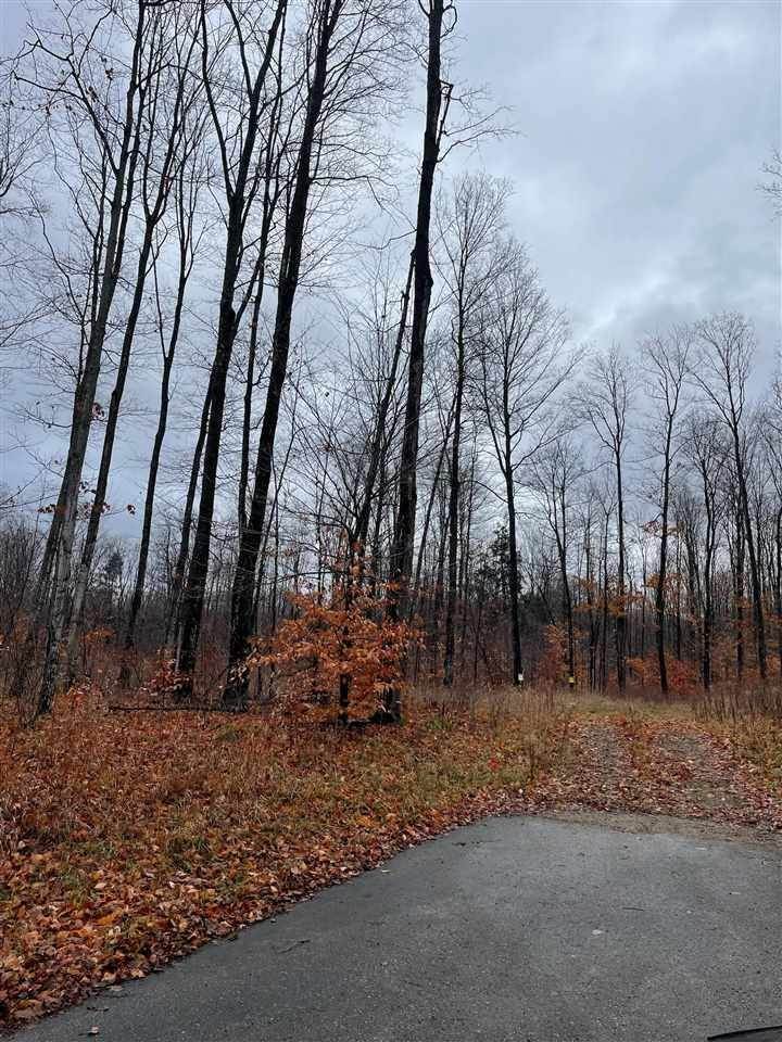 3. Land for Sale at Lot 10 High Pines Trail Boyne City, Michigan 49712 United States