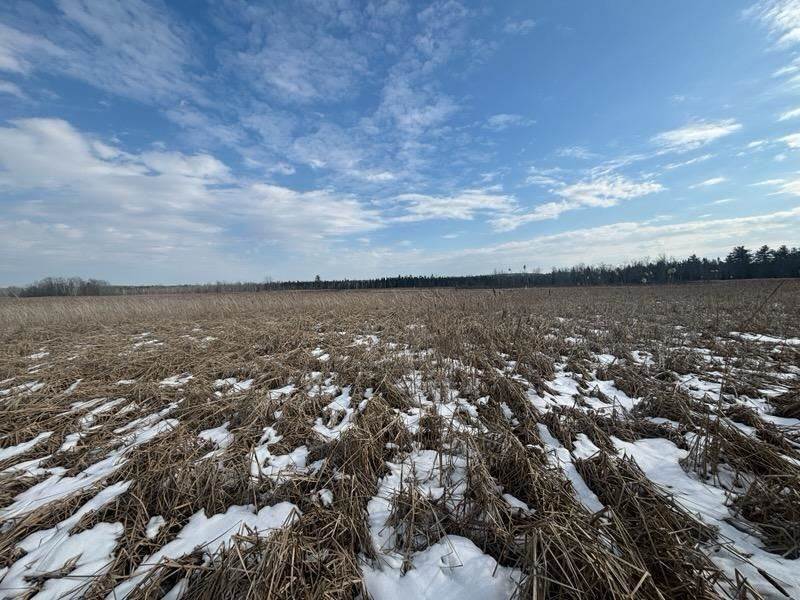 9. Land for Sale at TBD US 31 HWY Alanson, Michigan 49706 United States