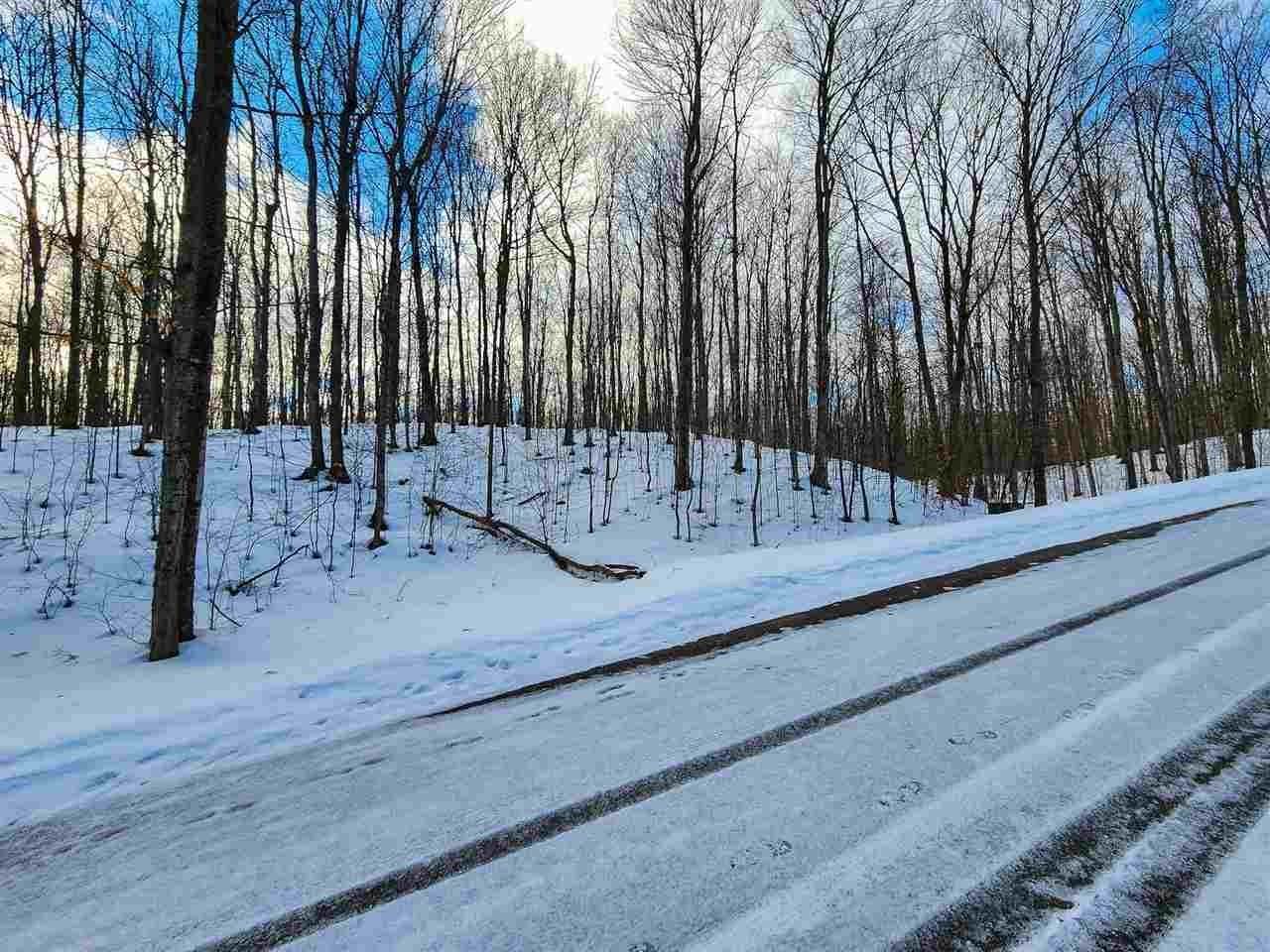 8. Land for Sale at 3419 Needles Drive Harbor Springs, Michigan 49740 United States