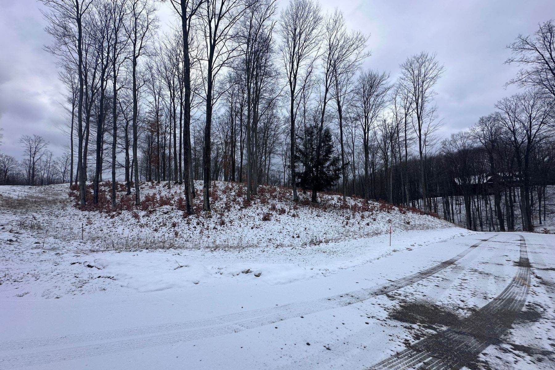 11. Land for Sale at Boyne City Homesite South Point Court, Lot 71 & 72 Boyne City, Michigan 49712 United States