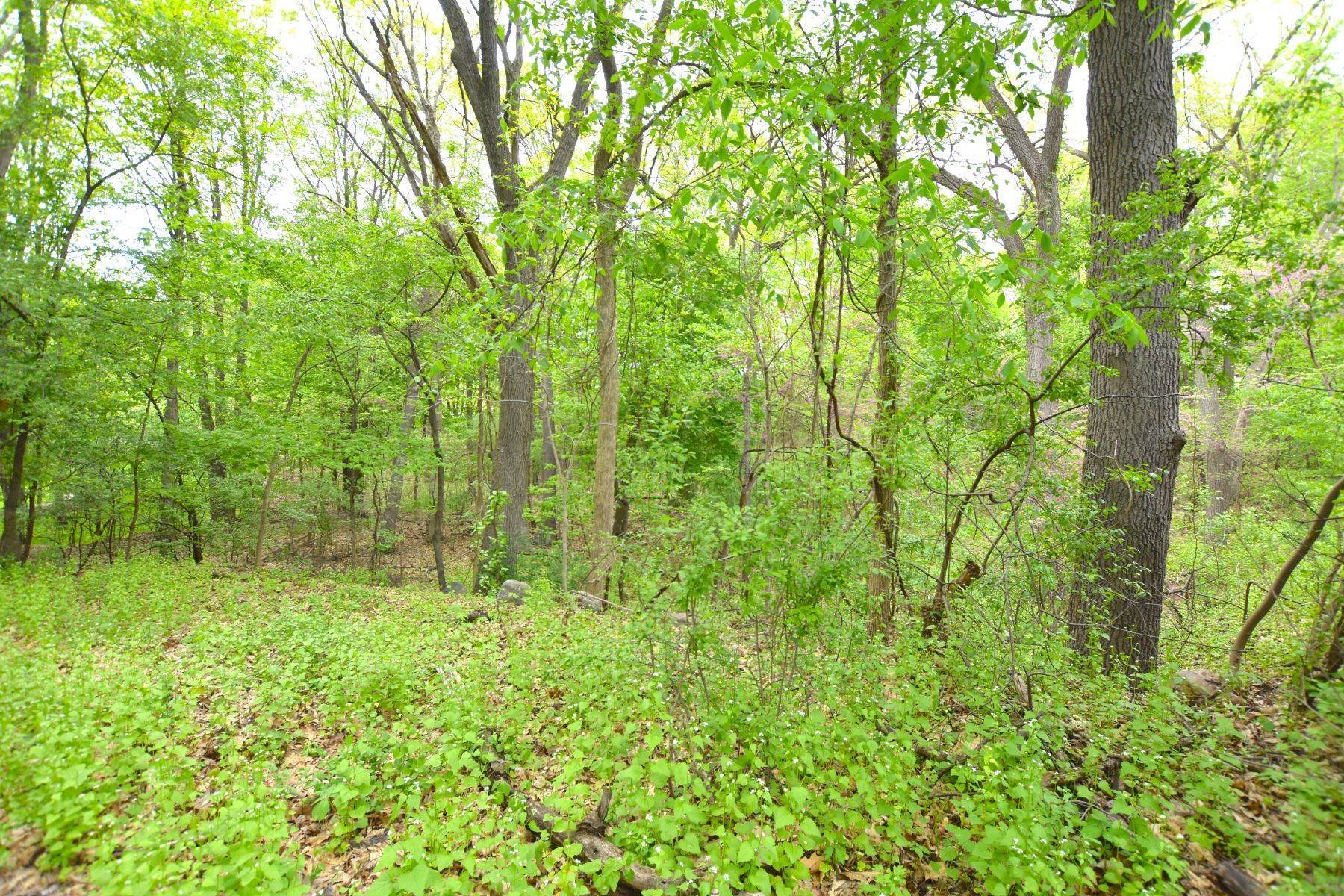 2. Land for Sale at Bloomfield Hills 1840 E Valley Road Bloomfield Hills, Michigan 48304 United States