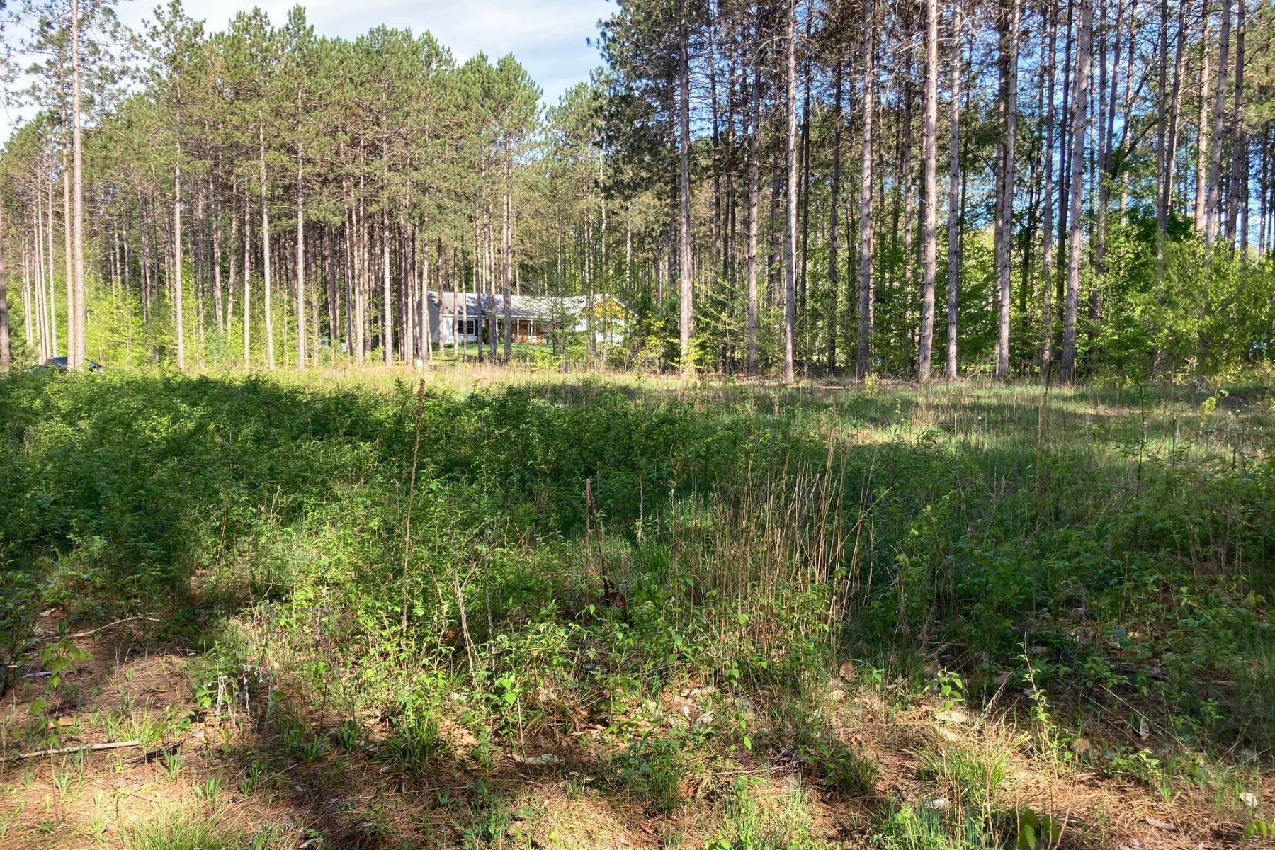 4. Land for Sale at Vacant Lot in Desirable Neighborhood 7789 Red Pine Trail Alanson, Michigan 49706 United States