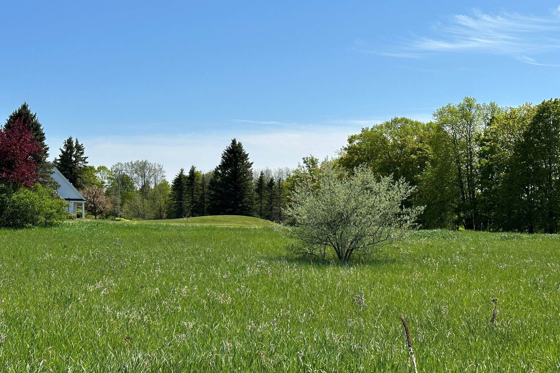 8. Land for Sale at Crooked Tree Lot 200 Crooked Tree Petoskey, Michigan 49770 United States