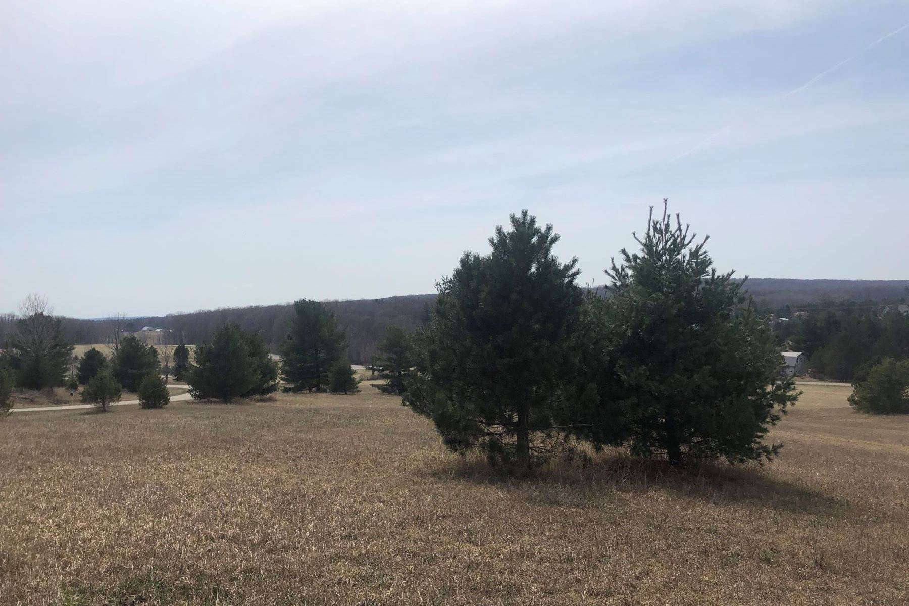 4. Land for Sale at Stunning Views from Estate Size Parcel 5770 Deer Run Trail Harbor Springs, Michigan 49740 United States