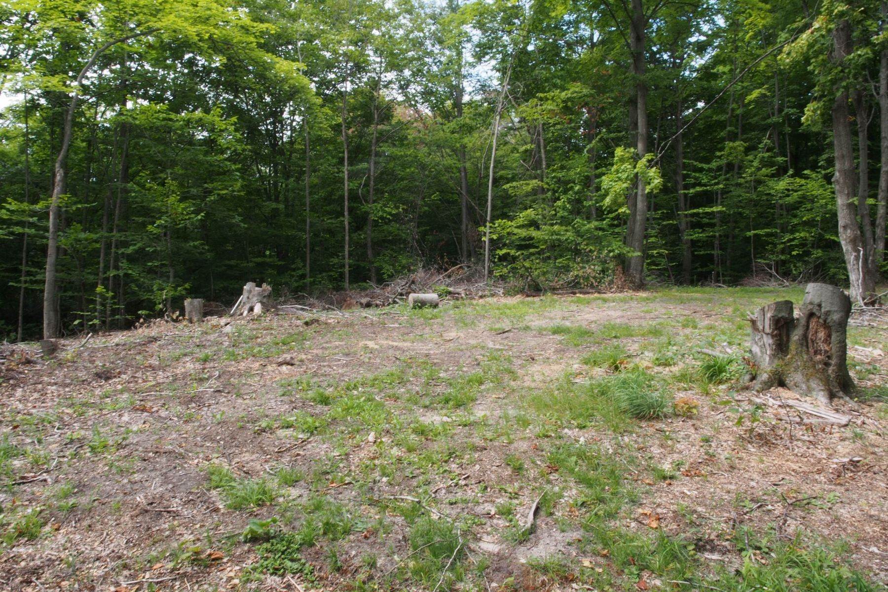 8. Land for Sale at Harbor Ridge 2.70 acre lot 3492 Needles Drive Harbor Springs, Michigan 49740 United States