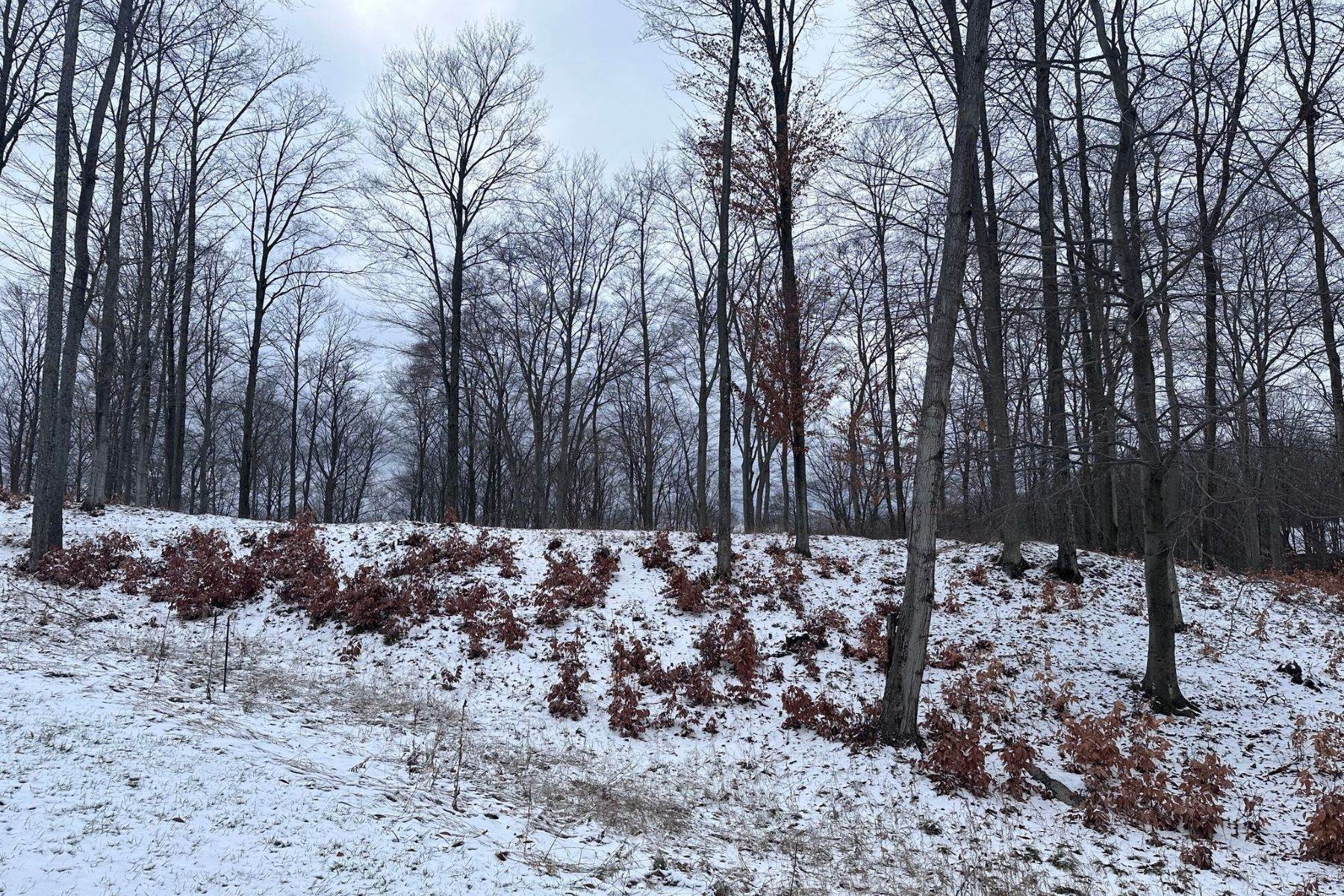 10. Land for Sale at Boyne City Homesite South Point Court, Lot 71 & 72 Boyne City, Michigan 49712 United States