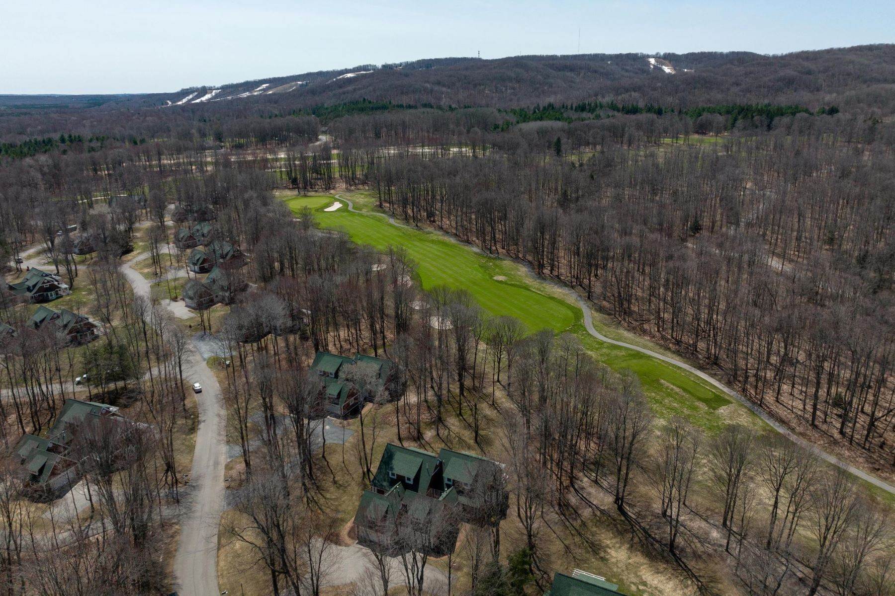 22. Duplex Homes for Sale at Cottage with Golf Course Views 4070 Pinehurst Lane, Unit 24 Harbor Springs, Michigan 49740 United States