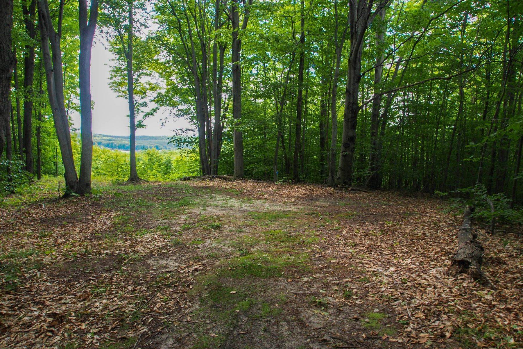 5. Land for Sale at Harbor Ridge 2.70 acre lot 3492 Needles Drive Harbor Springs, Michigan 49740 United States