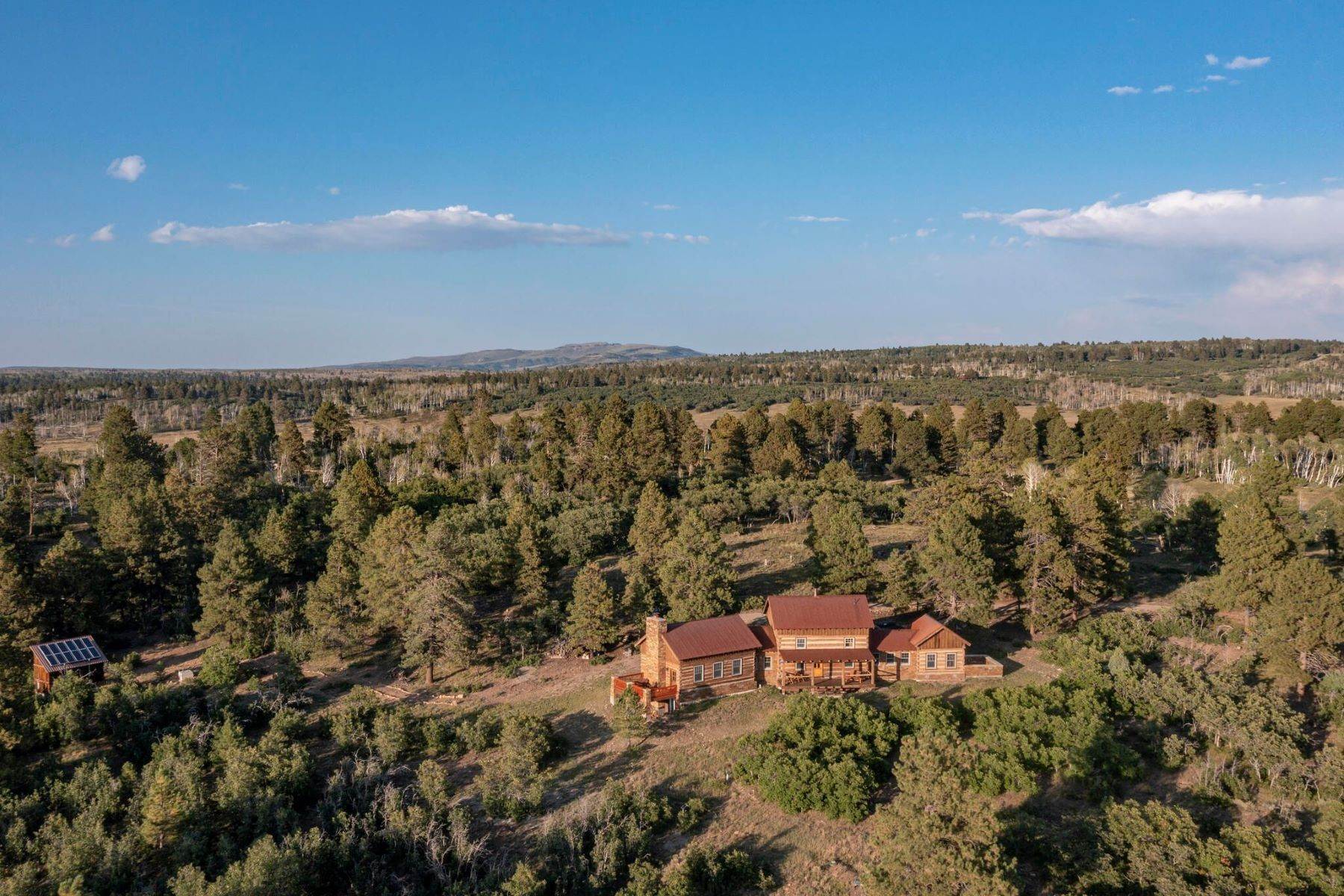 Farm and Ranch Properties for Sale at 1250 Mckenzie Springs Road, Placerville, Colorado, 81430 1250 McKenzie Springs Road + Parcel A Placerville, Colorado 81430 United States